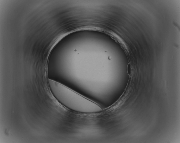 X0000093160860200709261034