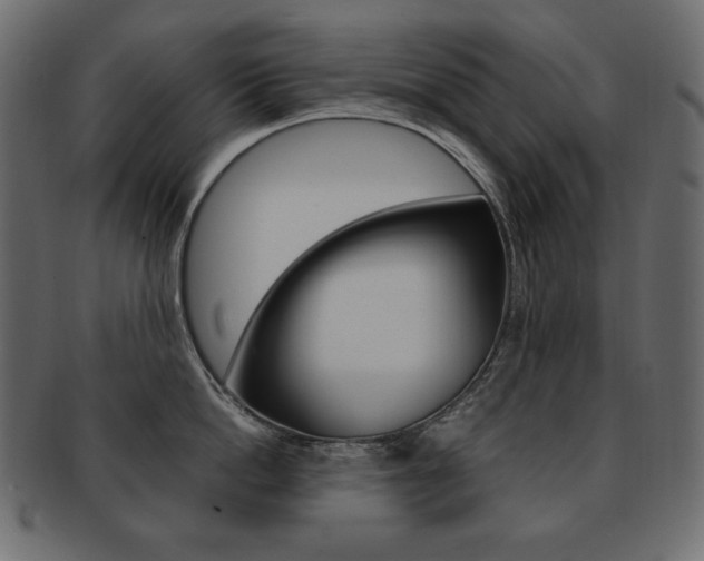 X0000093160862200709261035