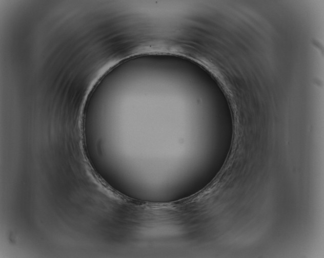 X0000093160864200709261035