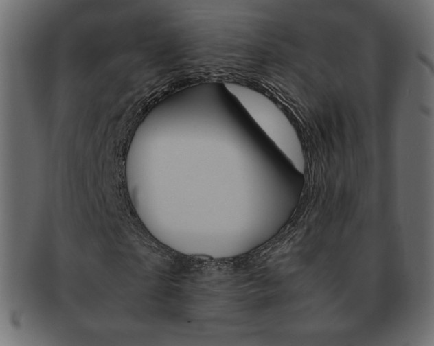 X0000093160865200709261034