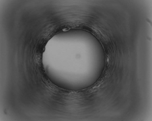X0000093160867200709261034