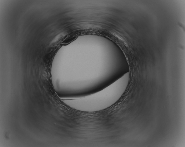 X0000093160869200709261034