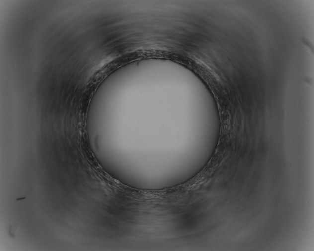 X0000093160870200709261034