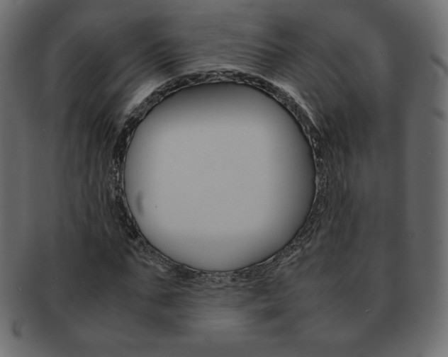 X0000093160871200709261034