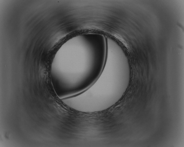 X0000093160872200709261034