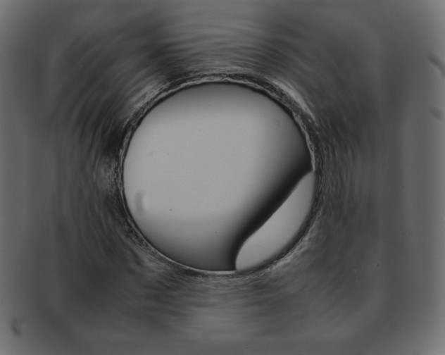 X0000093160873200709261034