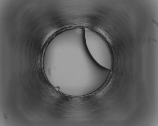 X0000093160875200709261034