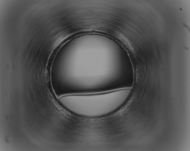 X0000093160876200709261034