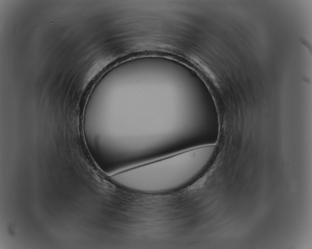 X0000093160877200709261034