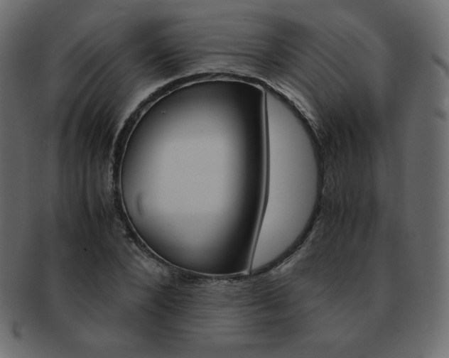 X0000093160880200709261034
