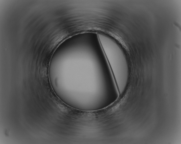 X0000093160881200709261034