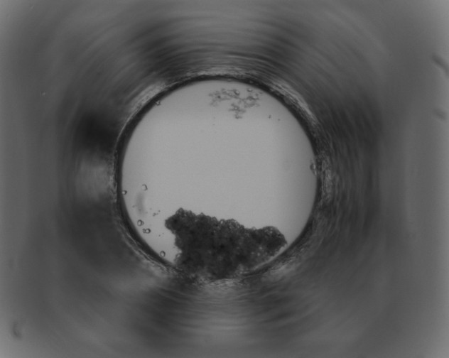 X0000093160882200709261034