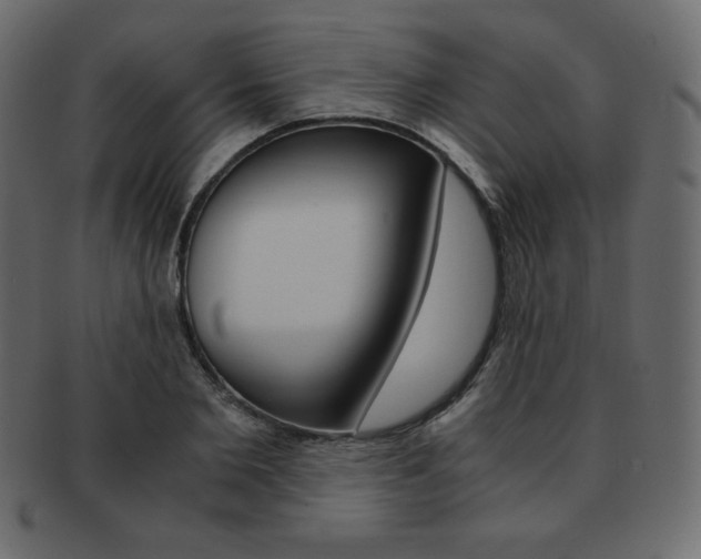 X0000093160885200709261034