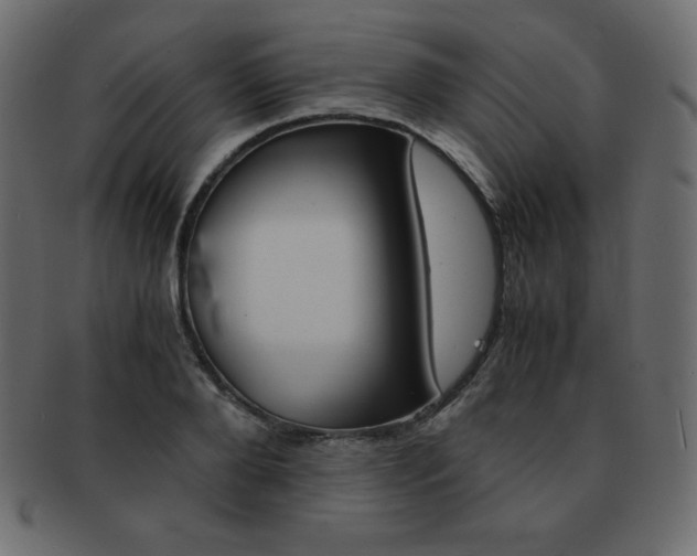 X0000093160888200709261034