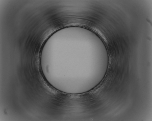 X0000093160890200709261033