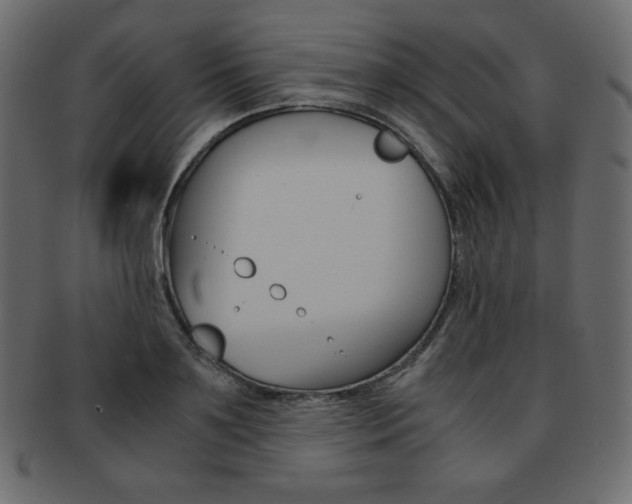 X0000093160891200709261033