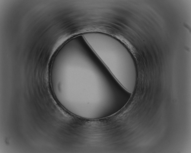 X0000093160894200709261033