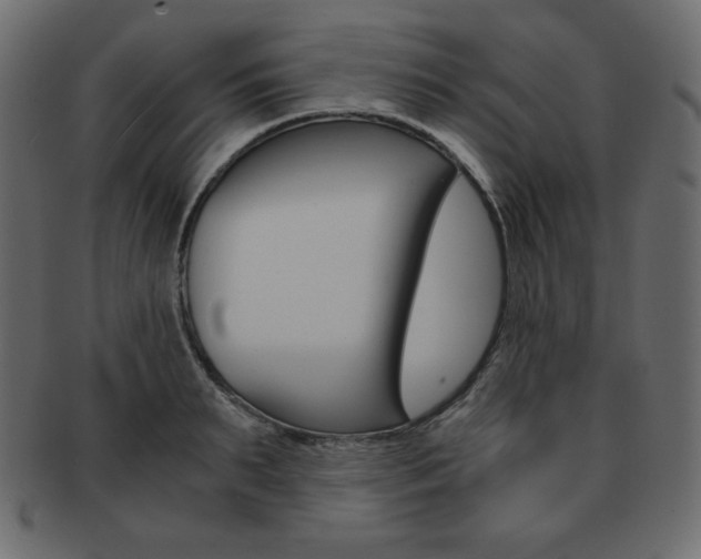 X0000093160895200709261033