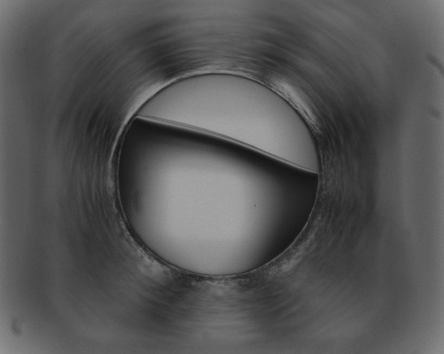 X0000093160900200709261033