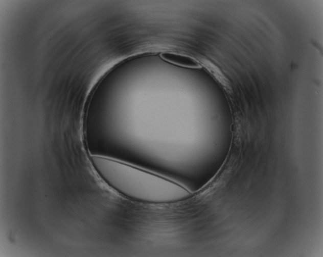 X0000093160904200709261033
