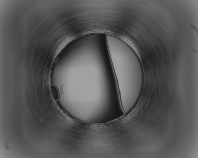 X0000093160906200709261033