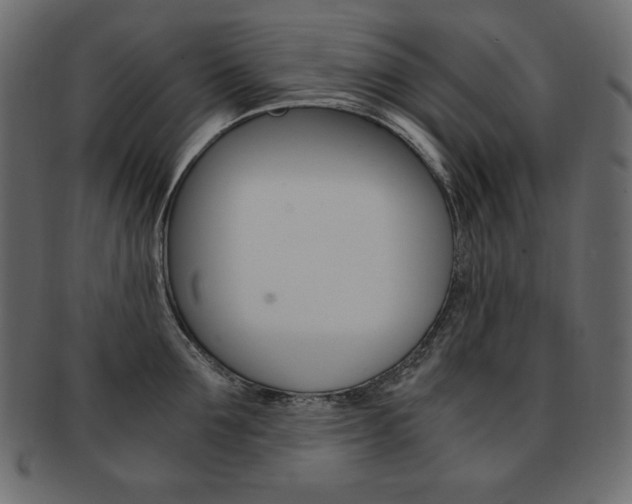 X0000093160907200709261033