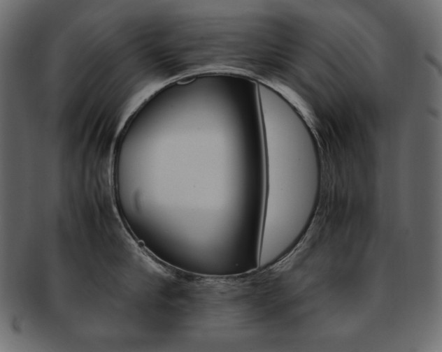 X0000093160910200709261033