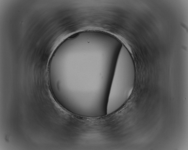 X0000093160911200709261033