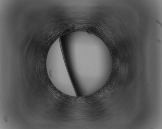 X0000093160914200709261033