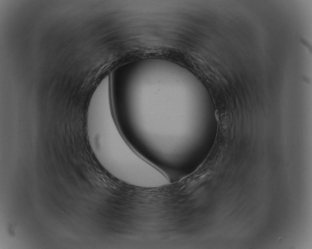 X0000093160916200709261033