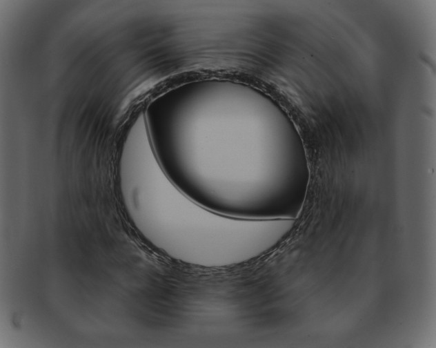 X0000093160920200709261033