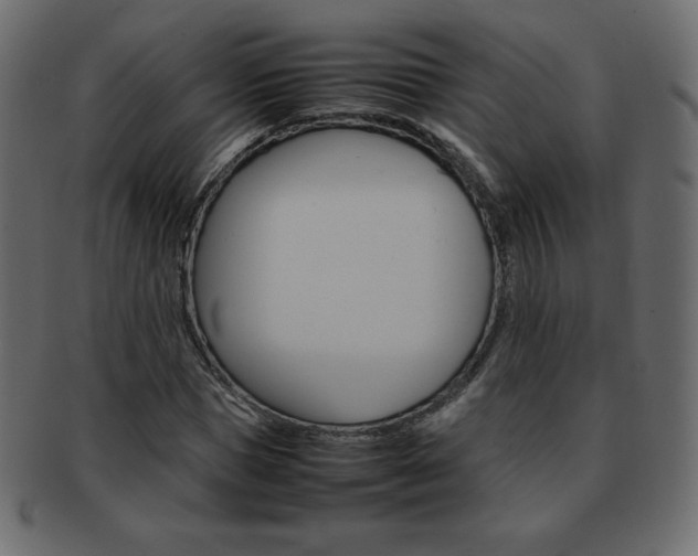 X0000093160921200709261033