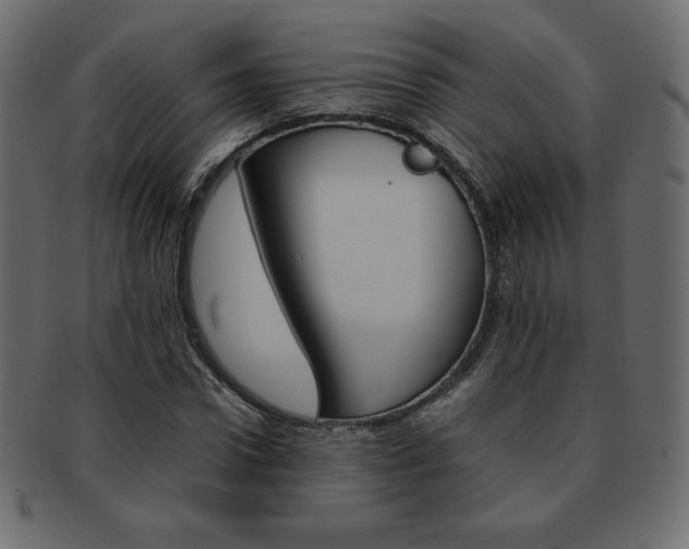 X0000093160922200709261033