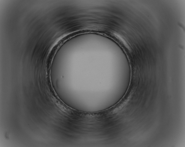 X0000093160923200709261033