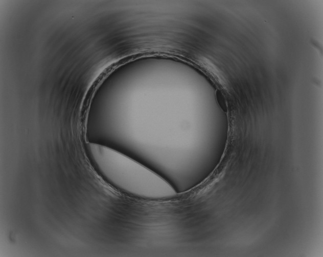 X0000093160924200709261033
