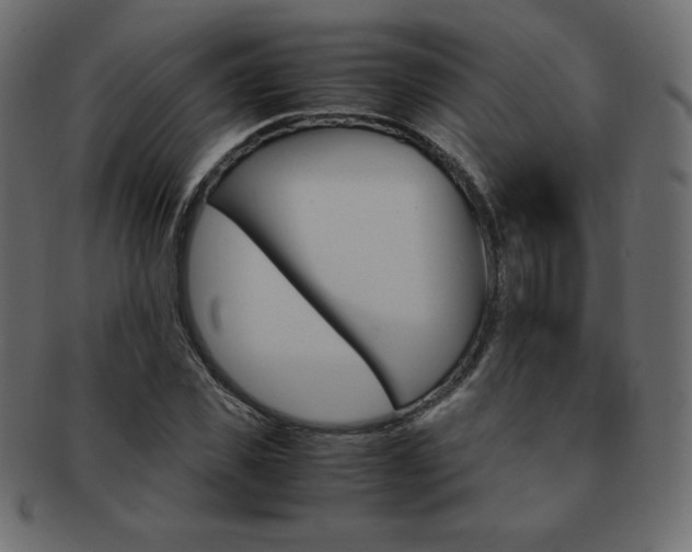 X0000093160925200709261033