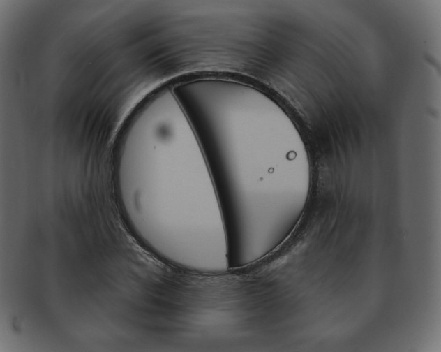 X0000093160926200709261033