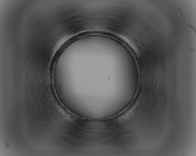 X0000093160927200709261033