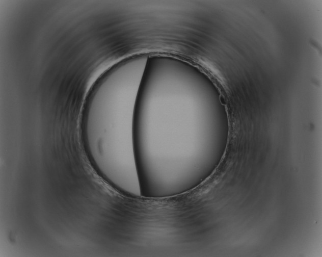 X0000093160928200709261033