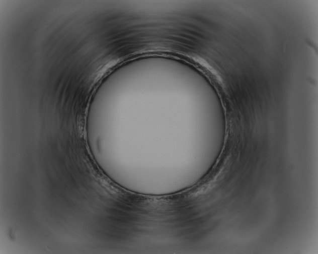 X0000093160929200709261033
