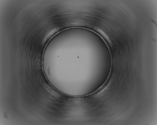X0000093160930200709261033