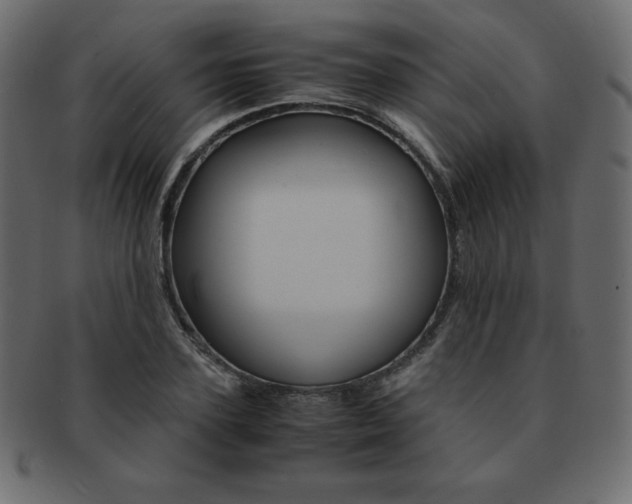 X0000093160931200709261033