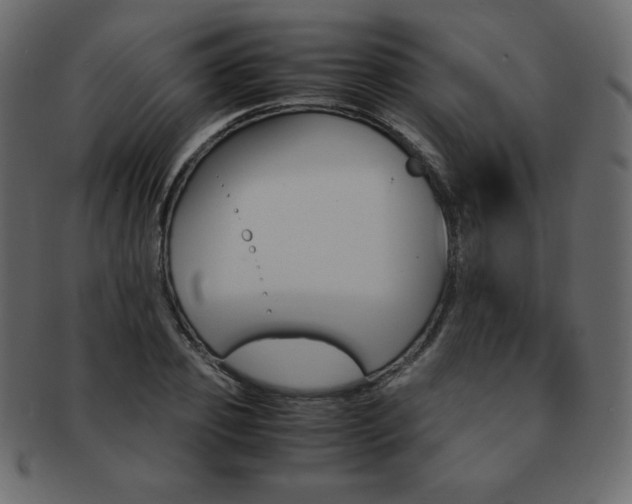X0000093160933200709261033