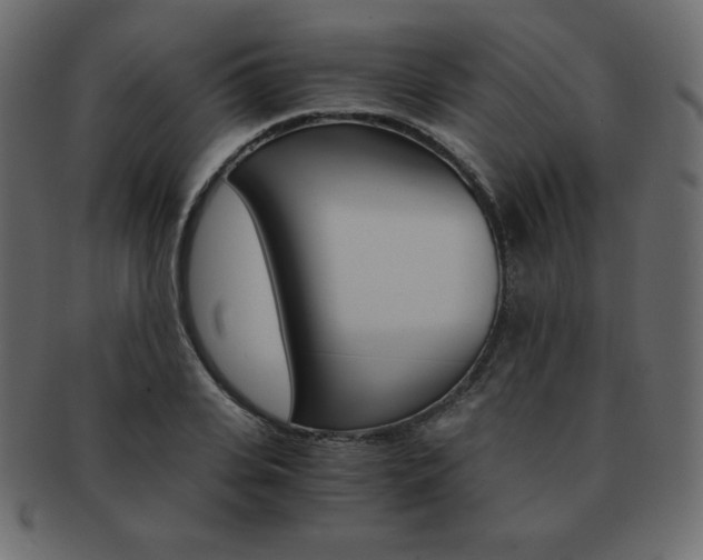 X0000093160935200709261033
