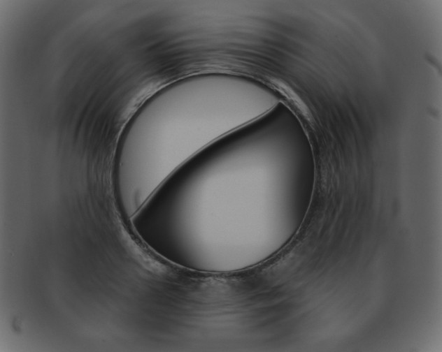 X0000093160938200709261033