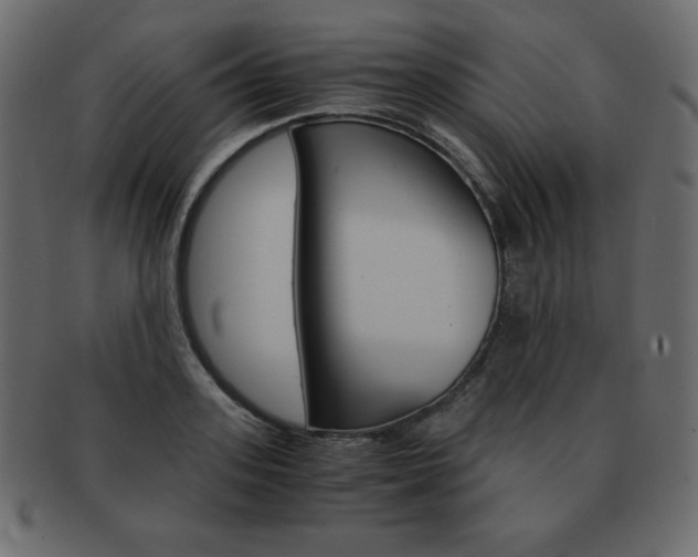 X0000093160939200709261033