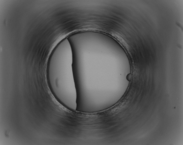 X0000093160941200709261033