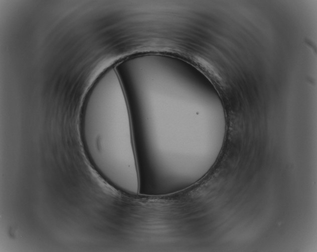 X0000093160942200709261033