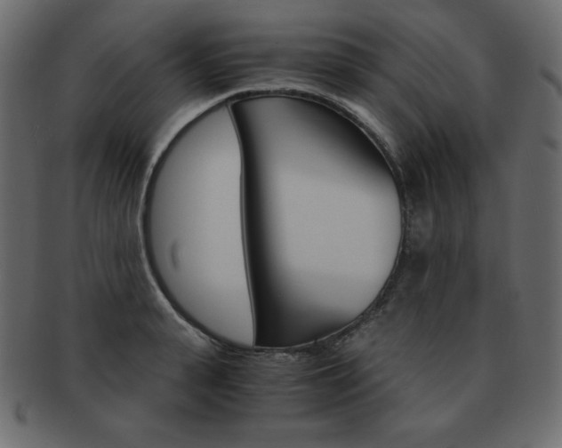 X0000093160943200709261033