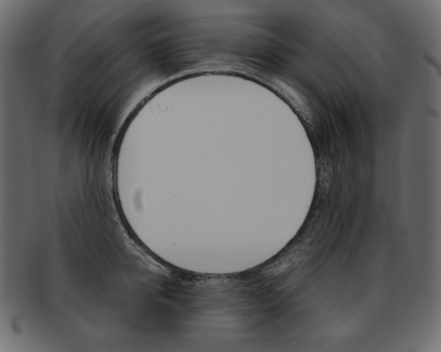 X0000093160950200709261033